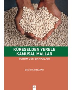 Küreselden Yerele Kamusal Mallar