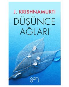 Düşünce Ağları