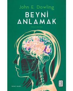 Beyni Anlamak