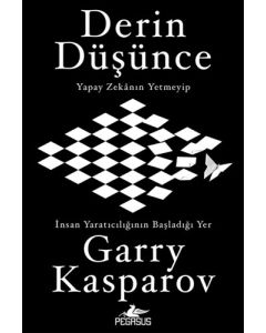 Derin Düşünce