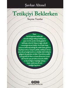 Tetikçiyi Beklerken