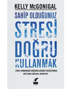 Sahip Olduğunuz Stresi Doğru Kullanmak