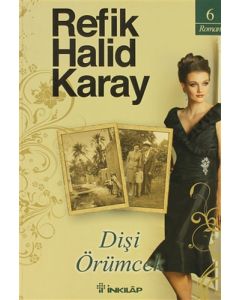 Dişi Örümcek