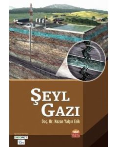 Şeyl Gazı