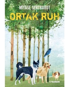 Ortak Ruh