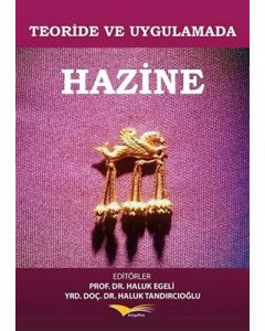 Teoride ve Uygulamada Hazine