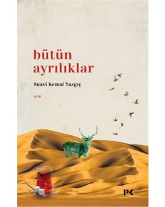 Bütün Ayrılıklar