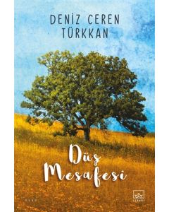 Düş Mesafesi