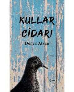 Kullar Cidarı