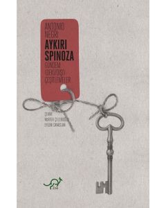 Aykırı Spinoza