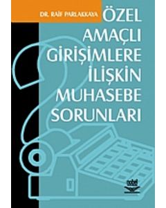 Özel Amaçlı Girişimlere İlişkin Muhasebe Sorunları
