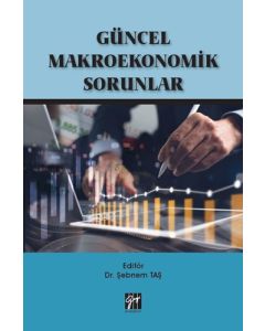 Güncel Makroekonomik Sorunlar