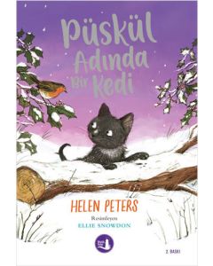 Püskül Adında Bir Kedi
