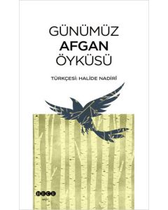 Günümüz Afgan Öyküsü