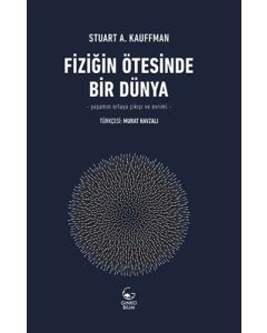 Fiziğin Ötesinde Bir Dünya