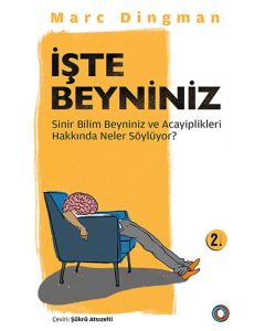 İşte Beyniniz