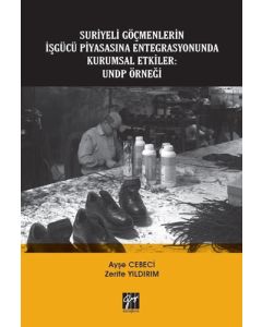 Suriyeli Göçmenlerin İşgücü Piyasasına Entegrasyonunda Kurumsal Etkiler: UNDP Örneği