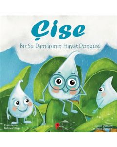 Çise: Bir Su Damlasının Hayat Döngüsü