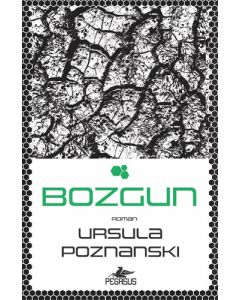 Bozgun