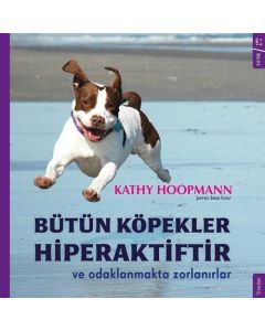 Bütün Köpekler Hiperaktiftir ve Odaklanmakta Zorlanırlar