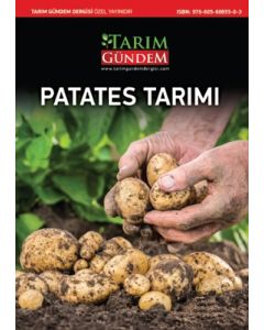 Patates Tarımı