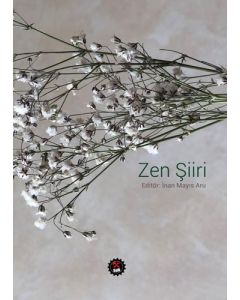 Zen Şiiri