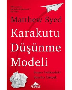 Karakutu Düşünme Modeli