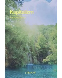 Kapitalizm