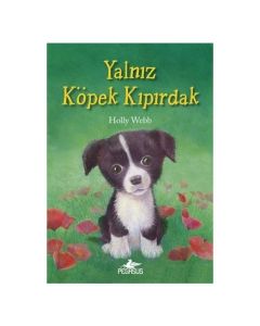 Yalnız Köpek Kıpırdak