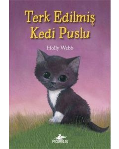 Terk Edilmiş Kedi Puslu