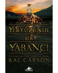 Yeryüzünde Bir Yabancı