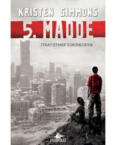 5. Madde