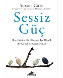 Sessiz Güç