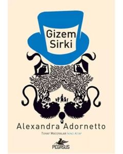 Gizem Sirki 