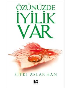 Özünüzde İyilik Var (Ciltli)