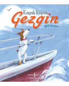 Kaçak Köpek Gezgin