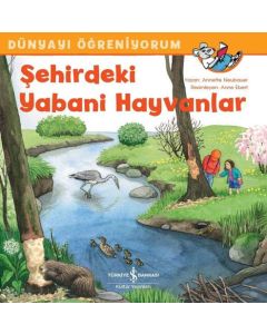 Dünyayı Öğreniyorum - Şehirdeki Yabani Hayvanlar 