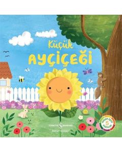 Küçük Ayçiçeği