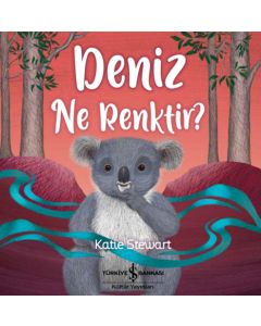 Deniz Ne Renktir?