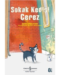 Sokak Kedisi Çerez