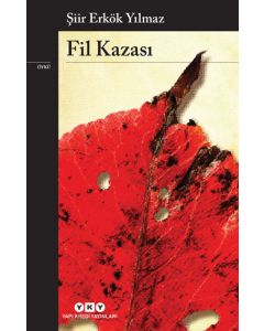 Fil Kazası