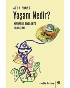 Yaşam Nedir?