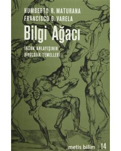 Bilgi Ağacı