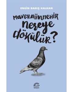 Maveraünnehir Nereye Dökülür?