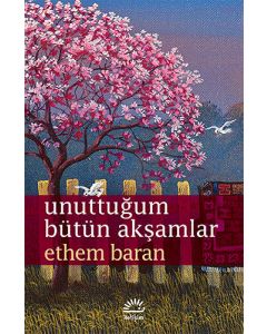 Unuttuğum Bütün Akşamlar