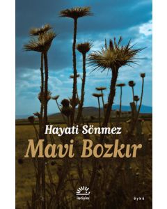Mavi Bozkır
