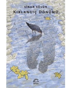 Kırlangıç Dönümü