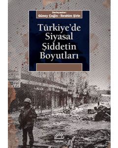Türkiye'de Siyasal Şiddetin Boyutları