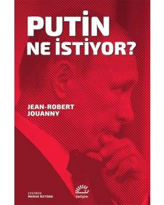 Putin Ne İstiyor?