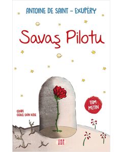 Savaş Pilotu